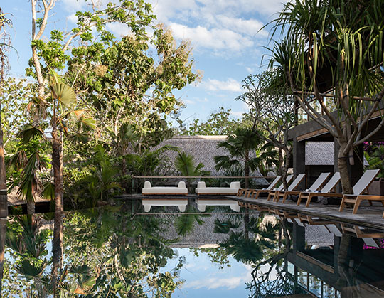Pool area at The Asa Maia surrounded by nature